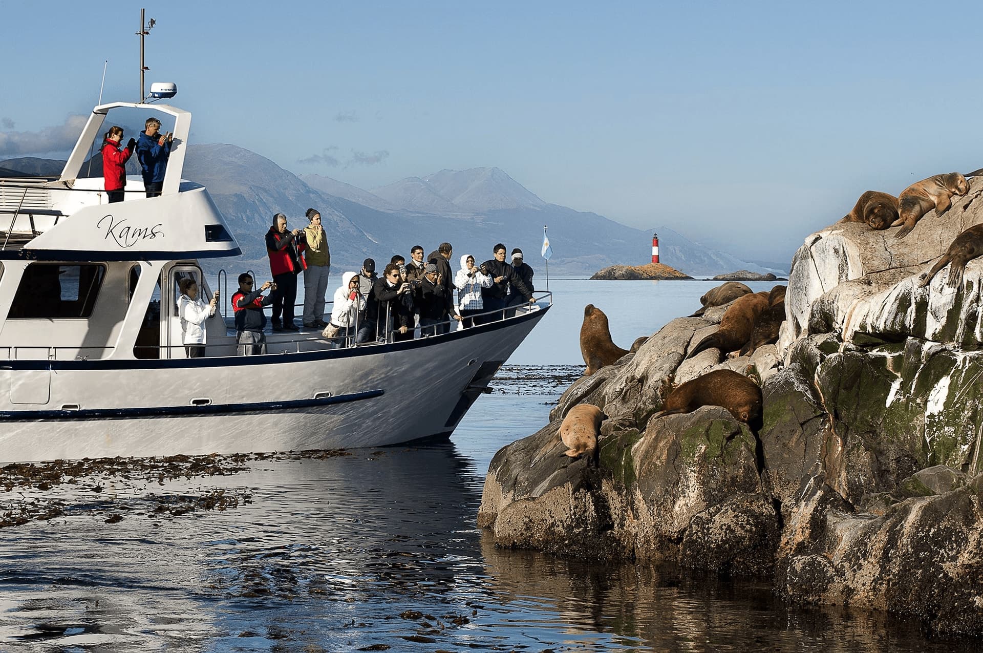 Faro Les Eclaireurs + Islas Bridges